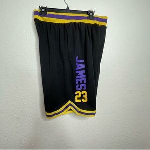 Lebron James Lakers NBA Basketball Shorts. Excellent condition.